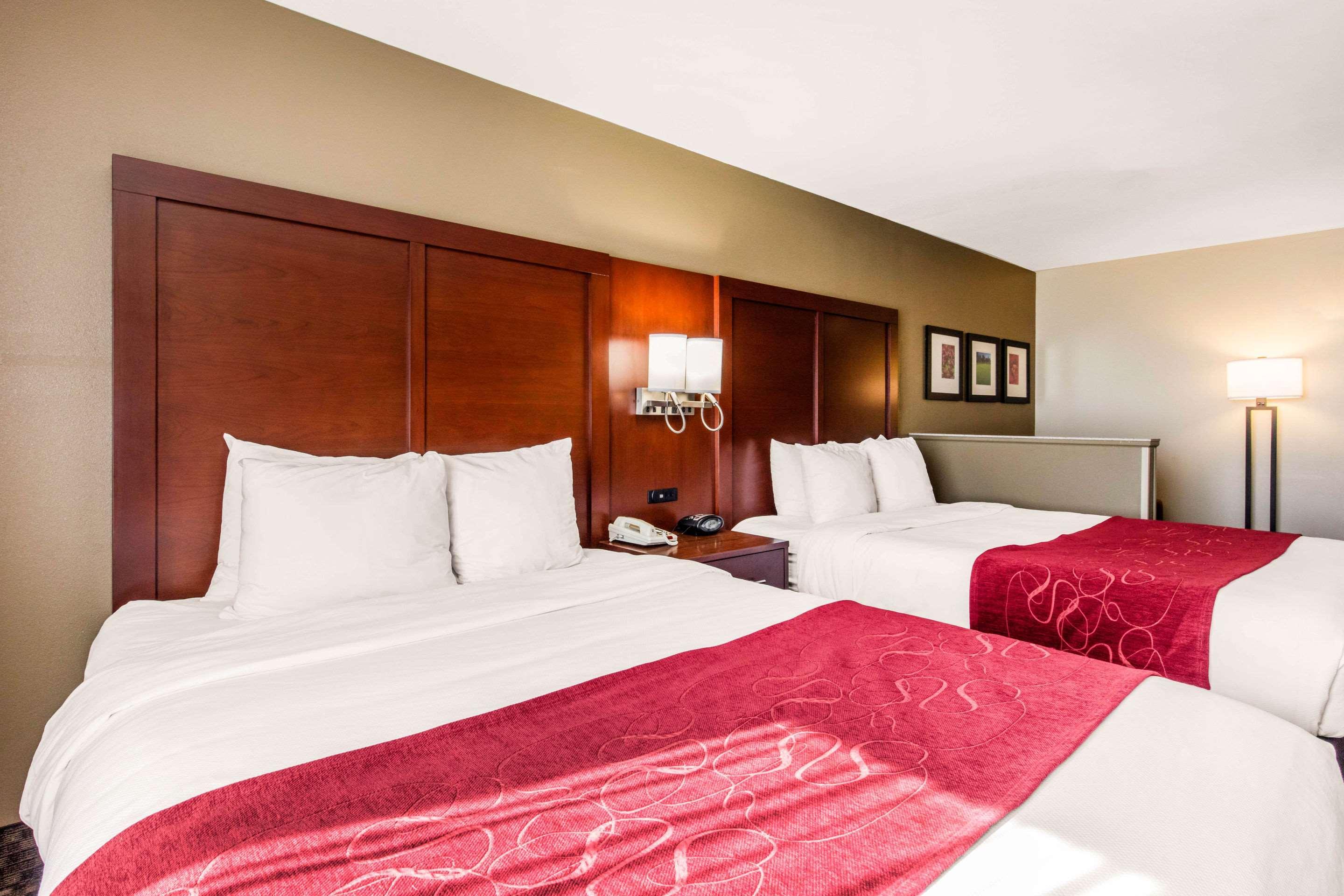 Comfort Near Hotel