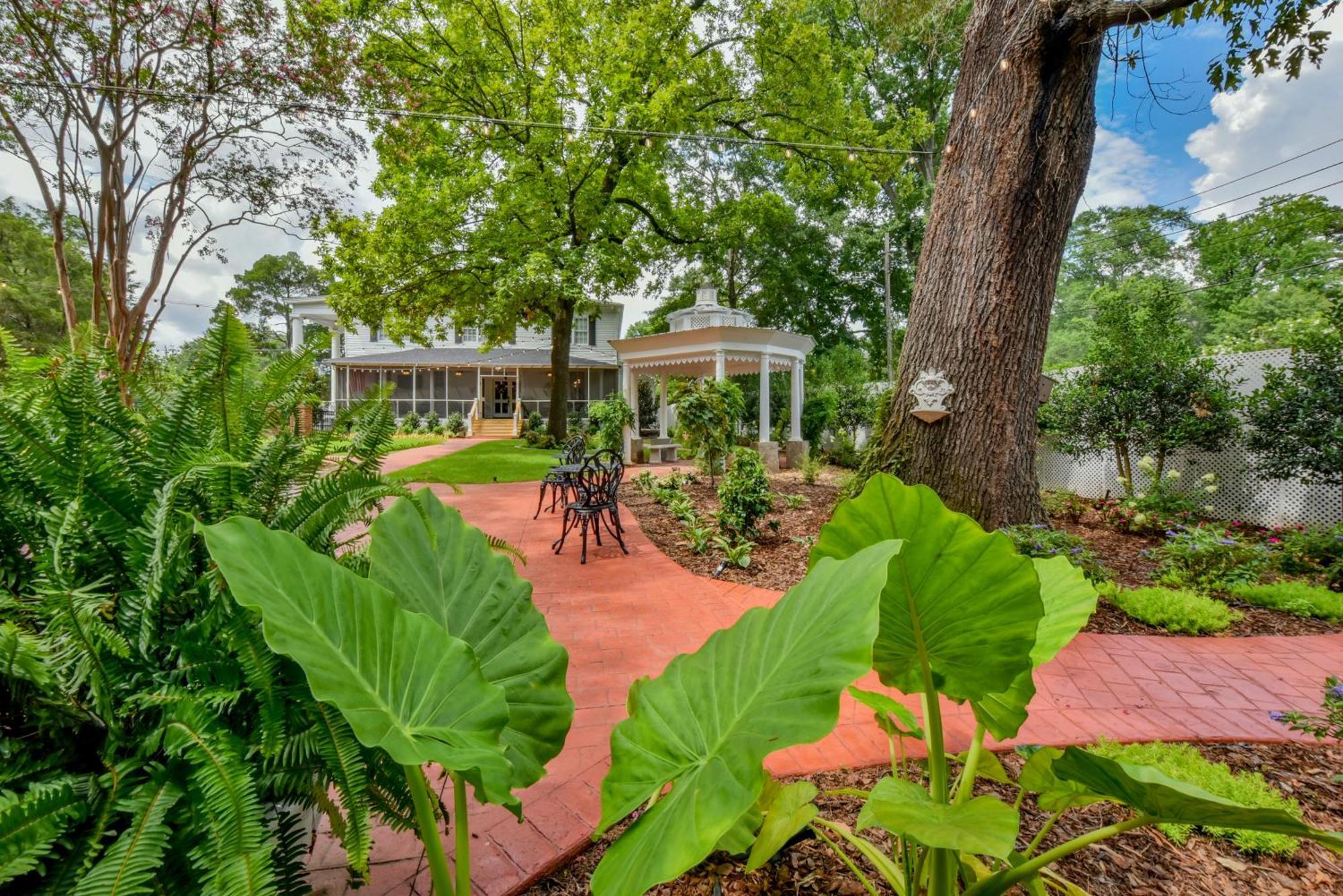 Bama - Wisteria * Tuscaloosa